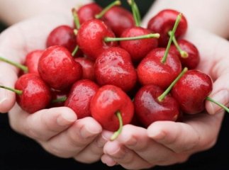 Чому корисно їсти закарпатські черешні