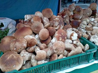 На Закарпатті продають чимало грибів, але люди скаржаться на ціни