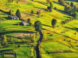 Ціни на землю змінились: скільки коштує 1 гектар на Закарпатті