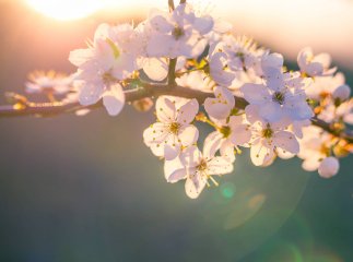 Радіти потеплінню зарано: насувається нове похолодання – синоптик назвав дату