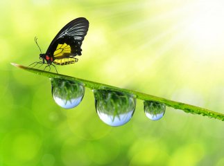 Попереду вихідні: якою буде погода та чи прийде потепління