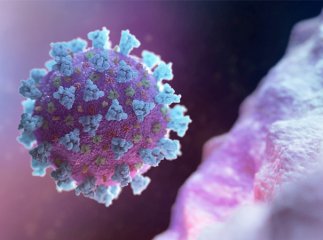 В Ужгороді на коронавірус захворіли 5 медпрацівників Ужгородської районної лікарні