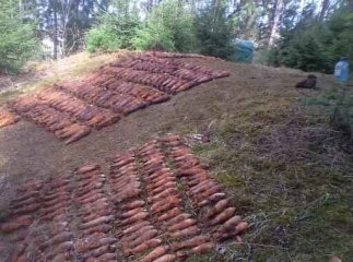 На Воловеччині рятувальники знешкодили снаряди та міни часів Другої світової війни