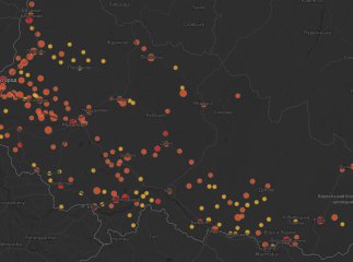 Перелік міст і сіл Закарпаття, де виявили коронавірус або є підозри (із розбивкою по районах)