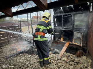 Випадок в Іршаві: обігрівання курчат могло призвести до пожежі