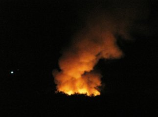 Вночі у Берегові горіло сміттєзвалище