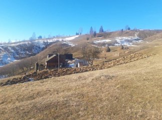 На Закарпатті у будинку знайшли два трупи