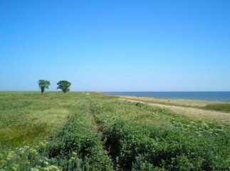 Двох хлопців з Мукачівщини, які зникли під час відпочинку на Миколаївщині, знайшли в Одеській області