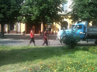 У Мукачеві з самого ранку працівники ЖЕКу ганялись за безпритульними собаками (ФОТО)