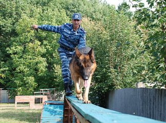 За 9 місяців цього року службові собаки сприяли в розкритті понад чотирьохсот злочинів