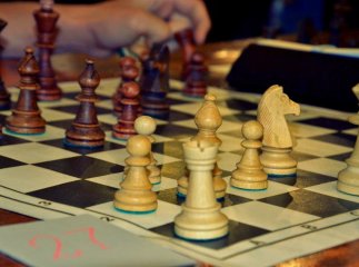 На шаховий фестиваль "Мукачівське літо" вже зареєстровано майже 500 учасників