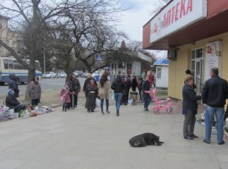 Ужгород обзавівся новим стихійним ринком, який "охороняють" бродячі собаки