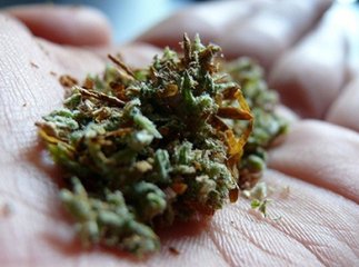 Мукачівцю із марихуаною в сумці не вдалося сховатись від поліцейських 