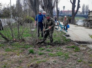 Комунальники саджають в Ужгороді каштани