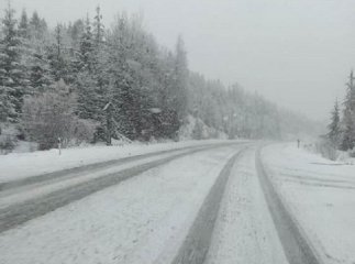 Водіїв просять бути обережними: що коїться на трасі Київ-Чоп