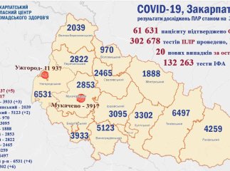 Минулої доби від коронавірусу померли двоє закарпатців
