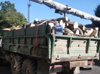 У Перечині поліцейські спіймали водія, який віз деревину без документів