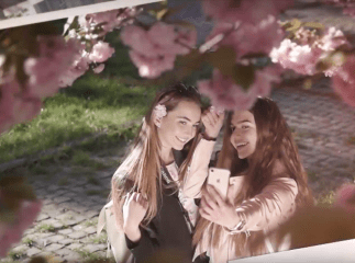 Управління туризму та курортів Закарпатської ОДА презентувало круте відео про сакури на Закарпатті