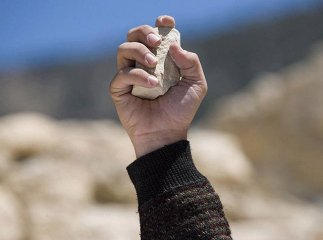 На Свалявщині п’яне подружжя з камінням накинулось на поліцейських