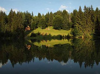 Британець відправив принцу Чарльзу книгу про Закарпаття (ВІДЕО)