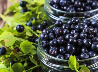 На ринках області почали продаж чорниці. Відомі ціни