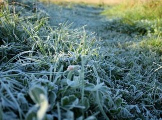 Народний синоптик повідомив українцям дату перших заморозків