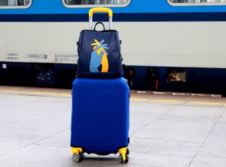 Важливе пояснення для українців за кордоном Українцям, які виїхали за кордон, озвучили новину про терміни перебування