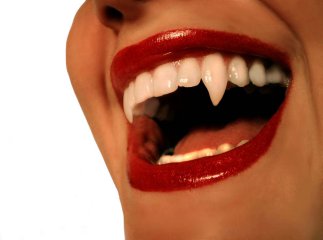 У день вампірів на Закарпатті шукали містичні та паранормальні явища