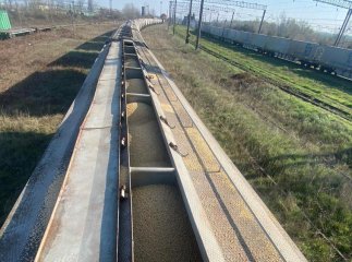 Митники виявили незаконний експорт агропродукції за фіктивними документами