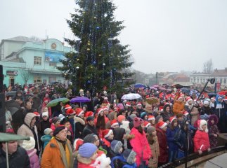 В Ужгороді урочисто запалили новорічну ялинку