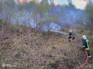 Біля Воловця горить ліс: пожежники залучили спецтехніку та дрони