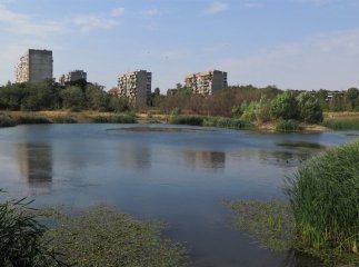 Рішення Ужгородської міськради: "Кірпічка" залишається зеленою зоною