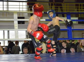 В Ужгороді проходить чемпіонат Закарпатської області з кікбоксингу