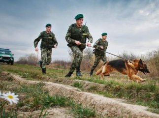 На Берегівщині затримали громадянина Німеччини, який хотів переправити двох нелегалів закордон