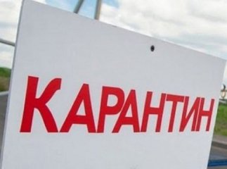 У трьох селах Закарпаття ввели жорсткий карантин