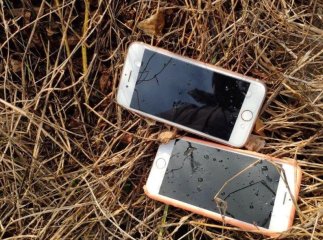 В ужгородських маршрутках знову промишляє жінка, яке краде гаманці і телефони