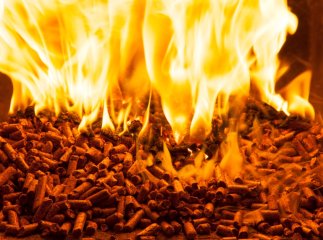 Закарпаттю виділили 14 мільйонів гривень на розвиток альтернативних джерел енергії