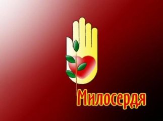 Благодійники "Червоного Хреста Закарпаття" зібрали допомогу на мільйон гривень