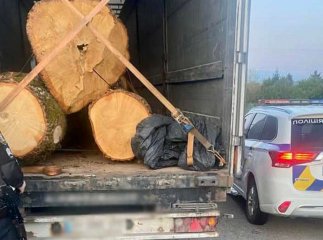 Виявлено вантажівку, в якій перевозили понад пів сотні колод дуба