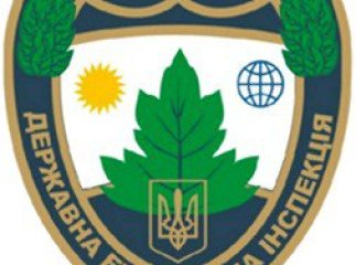 Екологи Закарпаття оштрафували 9 посадовців на суму 6103 гривень