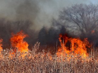 Пожежну небезпеку на Закарпатті продовжено