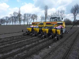 Підготовка до весняно-польових робіт на Закарпатті проходить у плановому порядку