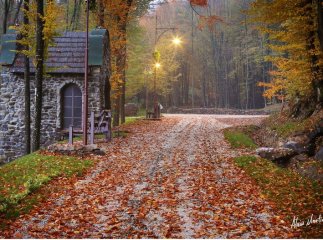 Ходіть до нас в гості або 7 причин вибрати відпочинок у Закарпатті восени