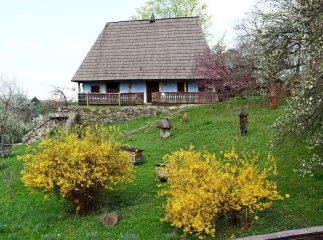 У закарпатських музеях на третину зросла кількість відвідувачів