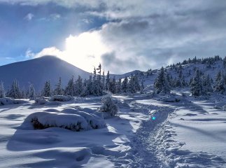 За кілька годин до Нового року на Закарпатті шукали зниклу жінку