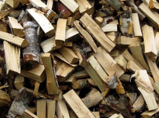 На Великоберезнянщині чоловік загинув внаслідок падіння дерева