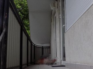 Чоловік жорстоко вбив колишню дружину