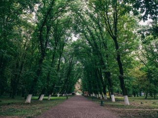 В Ужгороді відбудеться благодійний захід на підтримку ЗСУ