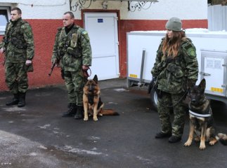 Четверо закарпатських кінологів разом зі службовими собаками вирушили у Маріуполь
