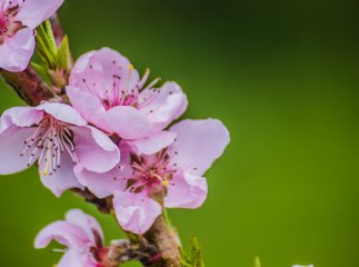 Квітневе похолодання в області: синоптики попередили про зниження температури